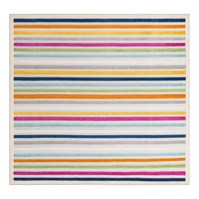 Striped Indoor / Outdoor Rug