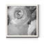 Renoncule foncé IV - cadre photo-1179620653-1179620651-1179599672