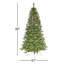 Arbre de Noël artificiel demi-lune 7,5 pi avec lumières DEL blanc chaud et base Fraser Hill Farm-391691427