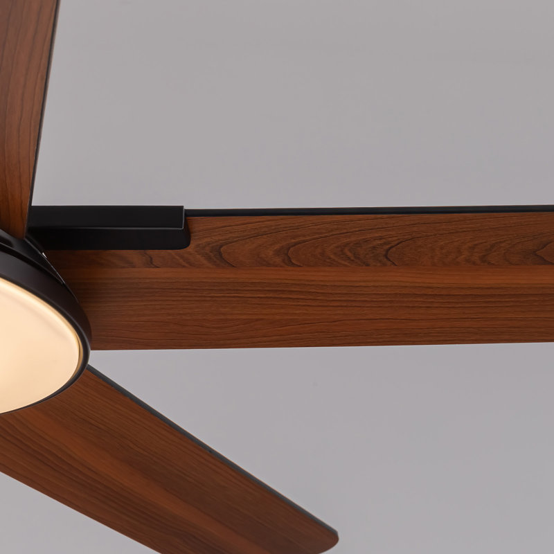 Ventilateurs de plafond modernes de 44 pouces avec lumières et télécommande noir, 44 po de largeur, Noir
