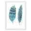 «Feathers in Turquoise II», art encadré-47566110-47566105