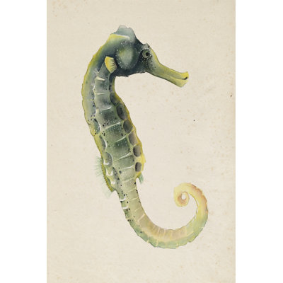 Sea Dweller VI 1 Piece Wrapped Canvas Painting