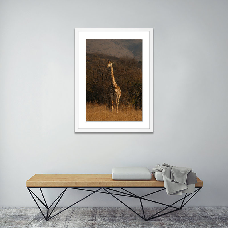 Giraffe 2 by Jade Hammer, White, 24" H x 18" W x 1.5" D