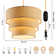 Rochell Diameter 12.2" Plug-in Pendant Light, Hanging Lamp with Dimmable, Hanging Light with 15 ft Plug Cord