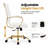 Naudain Leather Office Chair – Modern Executive Swivel Task Chair with Wheels, Adjustable Height & Padded Arms for Desk or Conference Room-132200685-53751974