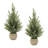 Potted Mini Pine Tree (Set of 2)