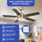 Latrisha 52'' Ceiling Fan with LED Lights