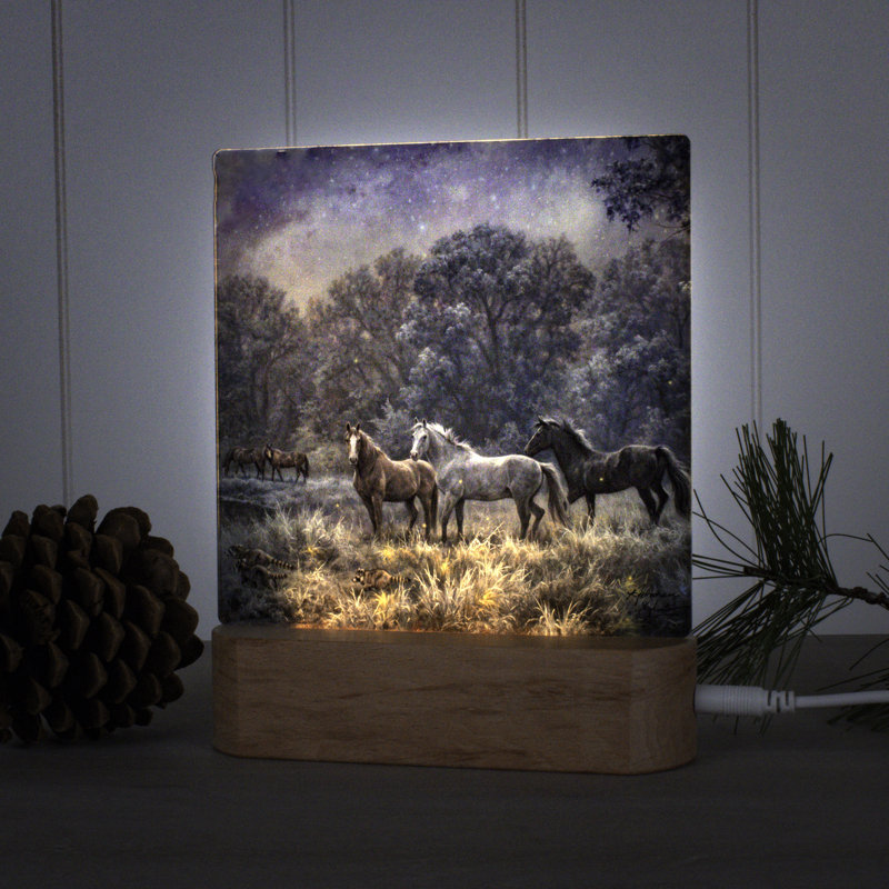 My Farm at Night Night Light