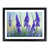 Black Framed selected