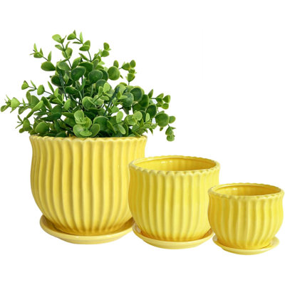 Yellow Ceramic Flower Pots With Saucers