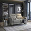 Meuble de salon moderne avec causeuse et revêtement en chenille gris