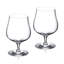 Craft Brew Hybrid Glass-866095325