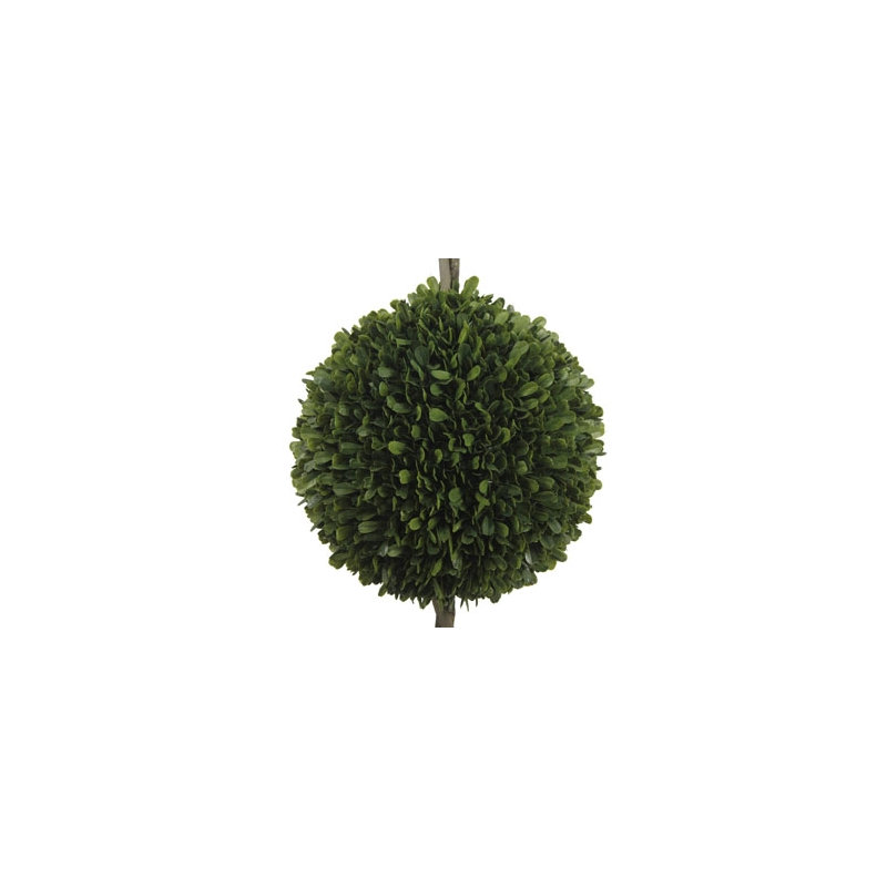 36" Double Boxwood Topiary in Pot