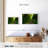 Forest Stream-1705934037-1705934040