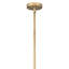 Secondaires 	 Stem-12600021