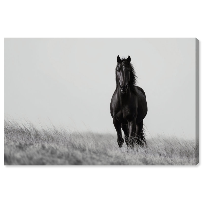 Lone Stallion I Print by Oliver Gal, 10" H x 15" W, Gallery Wrapped