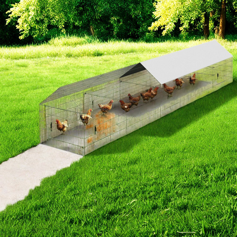 Grand poulailler en métal avec couvercle, cour de ferme extensible