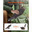 Goose Plastic Garden Statue