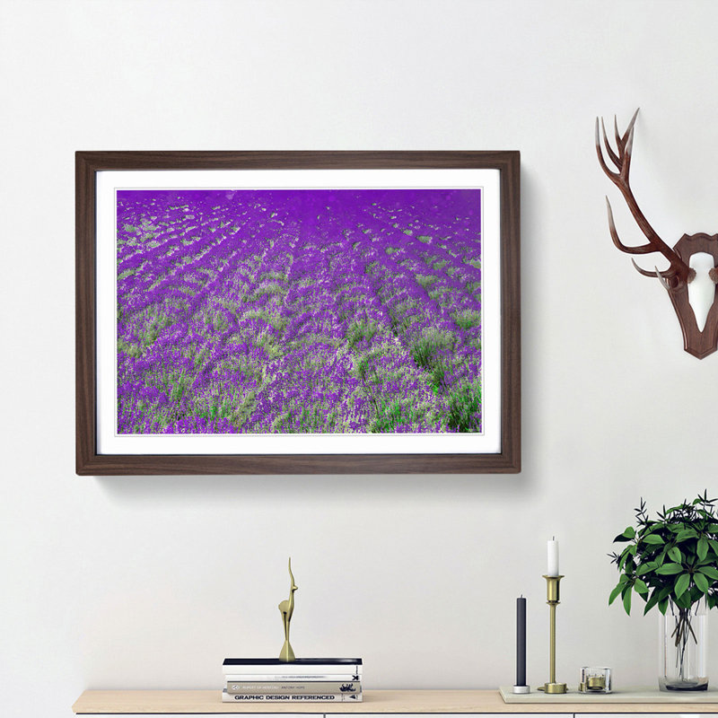 Field of Lavender - Picture Frame Graphic Art Print on MDF, 40cm H x 60cm W x 2cm D, Walnut