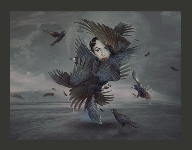 Fully in Feathers 3.09m x 400cm Wallpaper