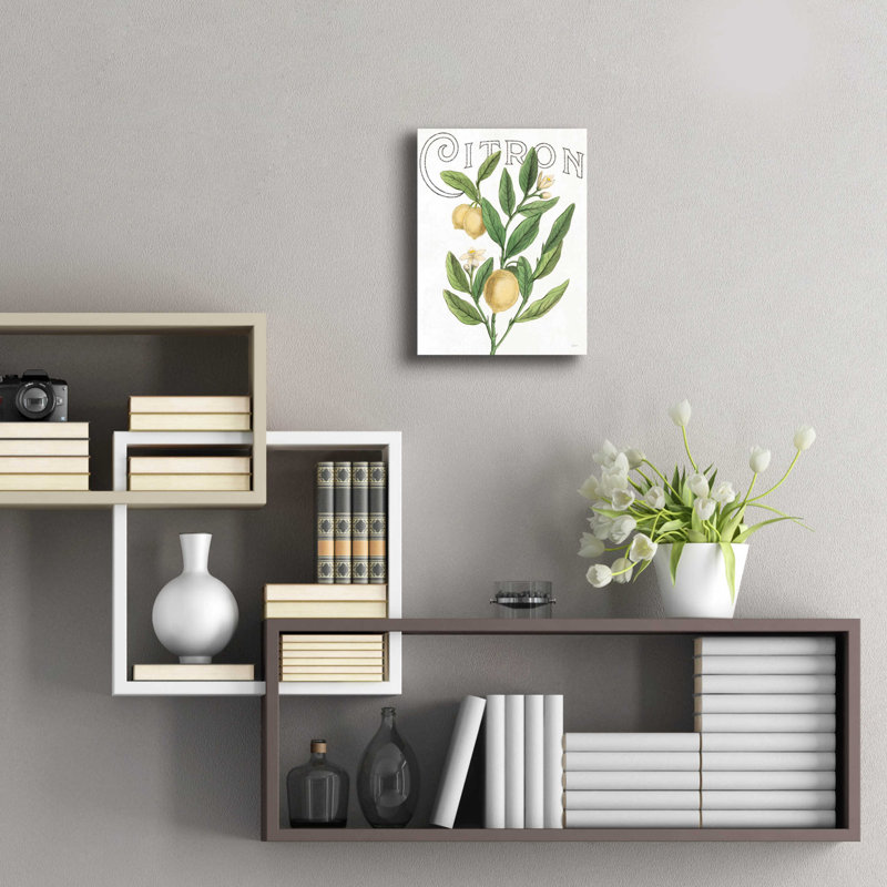 «Classic Citrus V Light» par Sue Schlabach, H 16 po x l 12 po x P 0,13 po