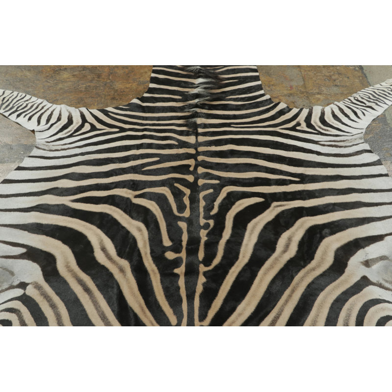Modern Area Rug