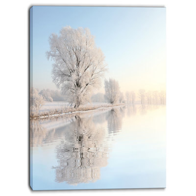 " Frosty Winter Tree By Rising "
