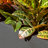Gita Lightweight Outdoor Trough Planter Box-173952428-148089134