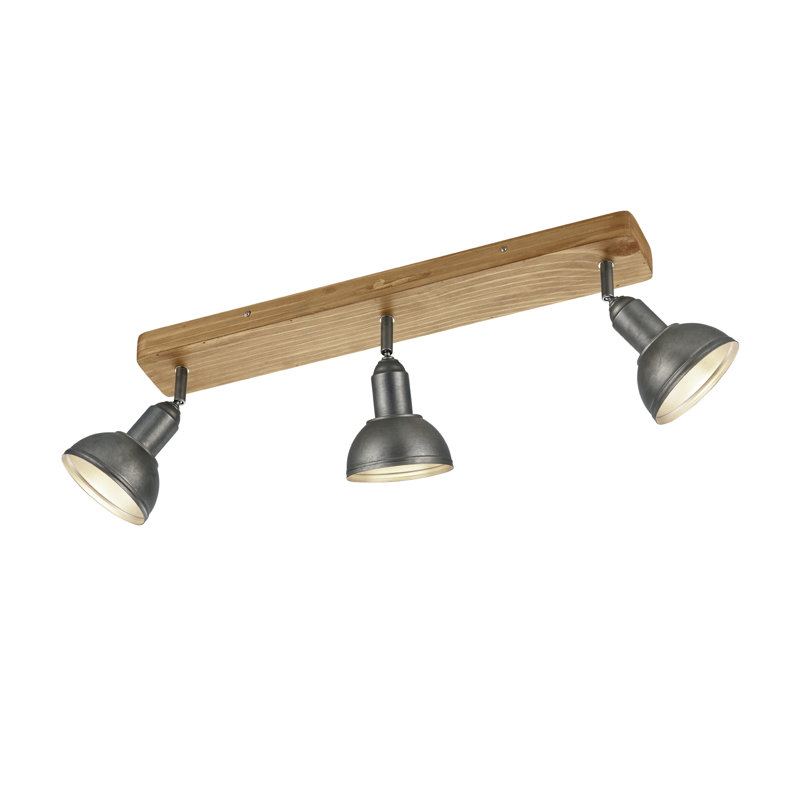 Garza Ceiling Spotlight
