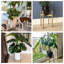 Donan Plant Stand-1885109216