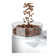Capresso CoffeeTEAM GS 10-Cup Coffee Maker with Conical Burr Grinder