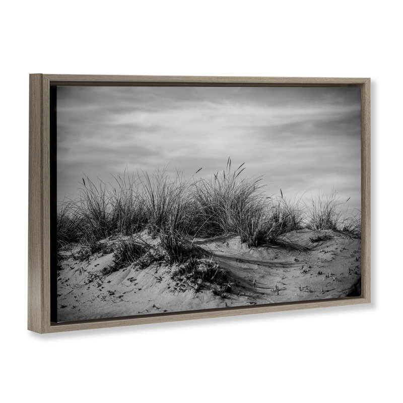  Toile flottante «Point Reyes Beach Dunes» par Crystal Lynn Collins, H 21 po x l 31 po, Cadre flottant orme Montalcino