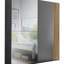 Cassadee 2 Door Glass Wardrobe