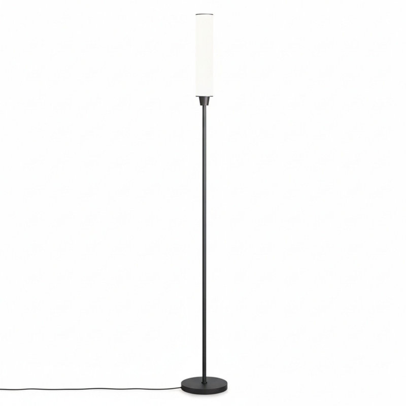 Lampe sur pied avec télécommande, lampes sur pied lumineuses pour le salon / la chambre à coucher / le bureau, couleurs réglables en continu 3000K-6000K et luminosité de 10 à 100%, lumière debout avec interrupteur au pied (noir)