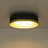 Modern Led Flush Mount 5 Cct Adjustable-1273034018
