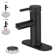 Single-Hole Single-Handle Bathroom Faucet With Pop-Up Drain Assembly  In Matte Black