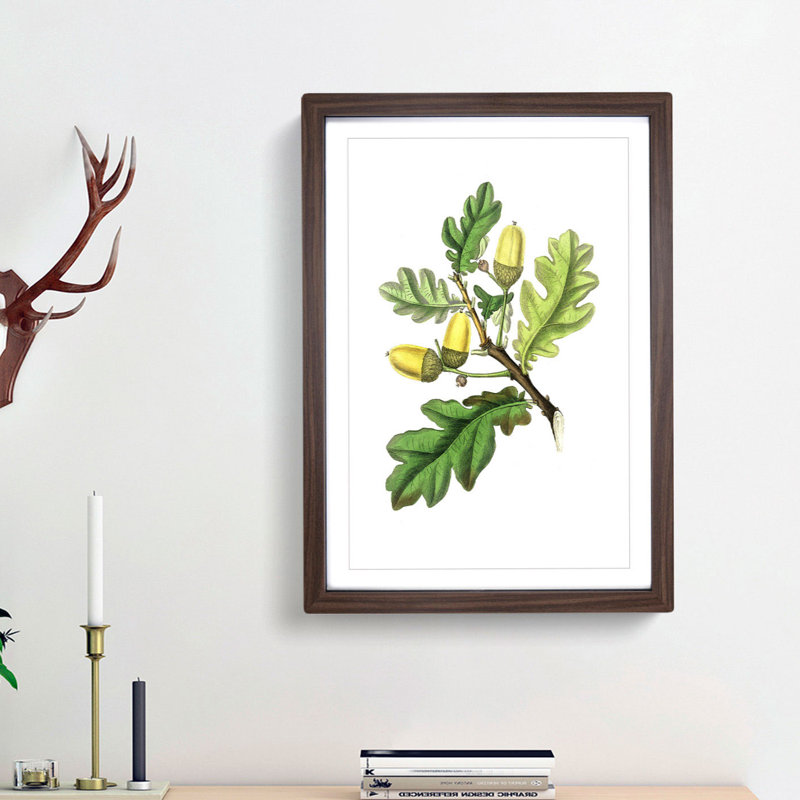 English Oak Tree Illustration - Picture Frame Painting Print, 48cm H x 36cm W x 2cm D, Walnut Framed