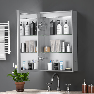 Armoire à pharmacie à DEL avec miroir, armoire de salle de bain avec miroir 20 * 30 pouces avec lumières, encastrée ou murale, 3 températures de couleur