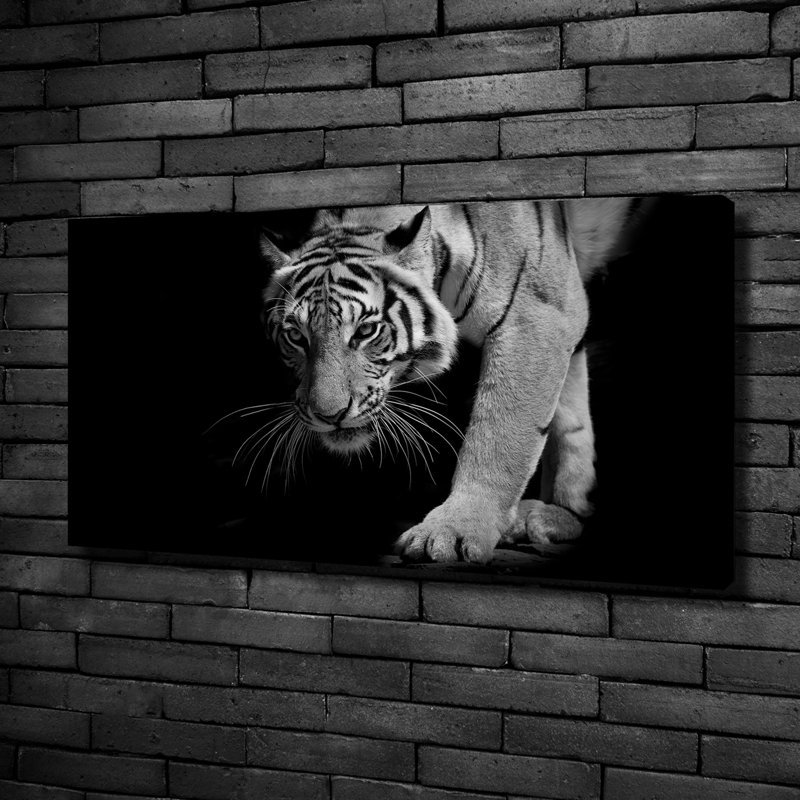 Tiger - Wrapped Canvas Print