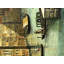 Scenic & Cityscapes
