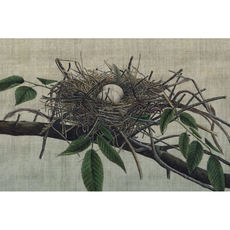 Nesting III by John Butler - Painting, 20 cm H x 30 cm W, Black Floater Framed