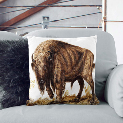 Square Cushion