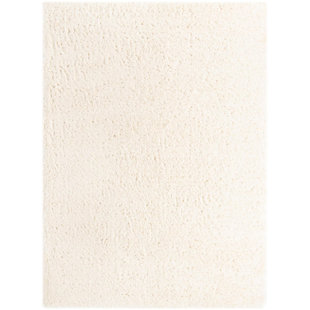 Indoor Rug