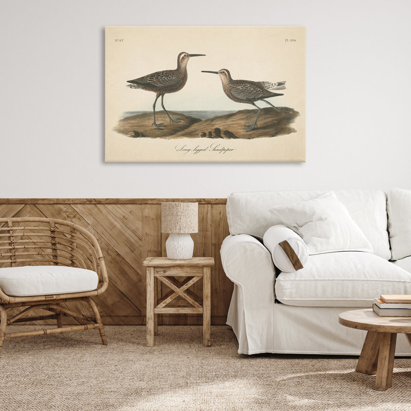«Long Legged Sandpiper», art mural sur toile par Wild Apple Portfolio, H 30 po x l 45 po