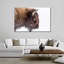 Bison d'hiver sur toile-78387119