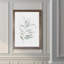 « ethereal eucalyptus ii »-impression du cadre sur verre-316484413-316484414