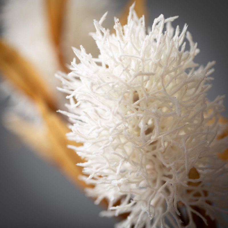 Aérosol artificiel 30 po Protea