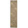 Forres Oriental Indoor Rug