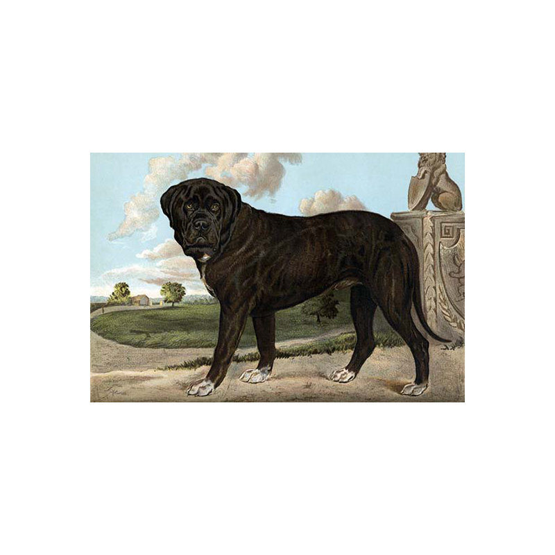Mastiff-impression, H 44 po x l 66 po x P 1,5 po