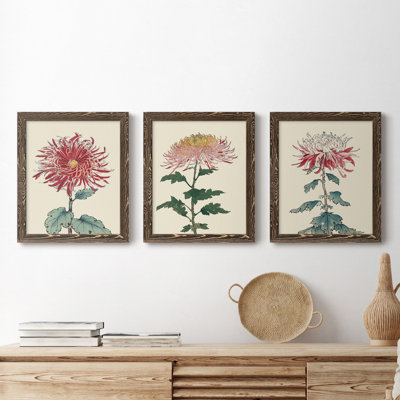 «Chrysanthemum Woodblock I», ensemble de 3 peintures sur toile encadrées